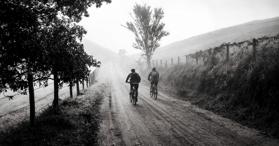 bike tours