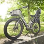 Flyer eBike